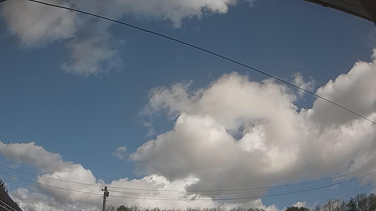20261001_105700_cam2.jpg