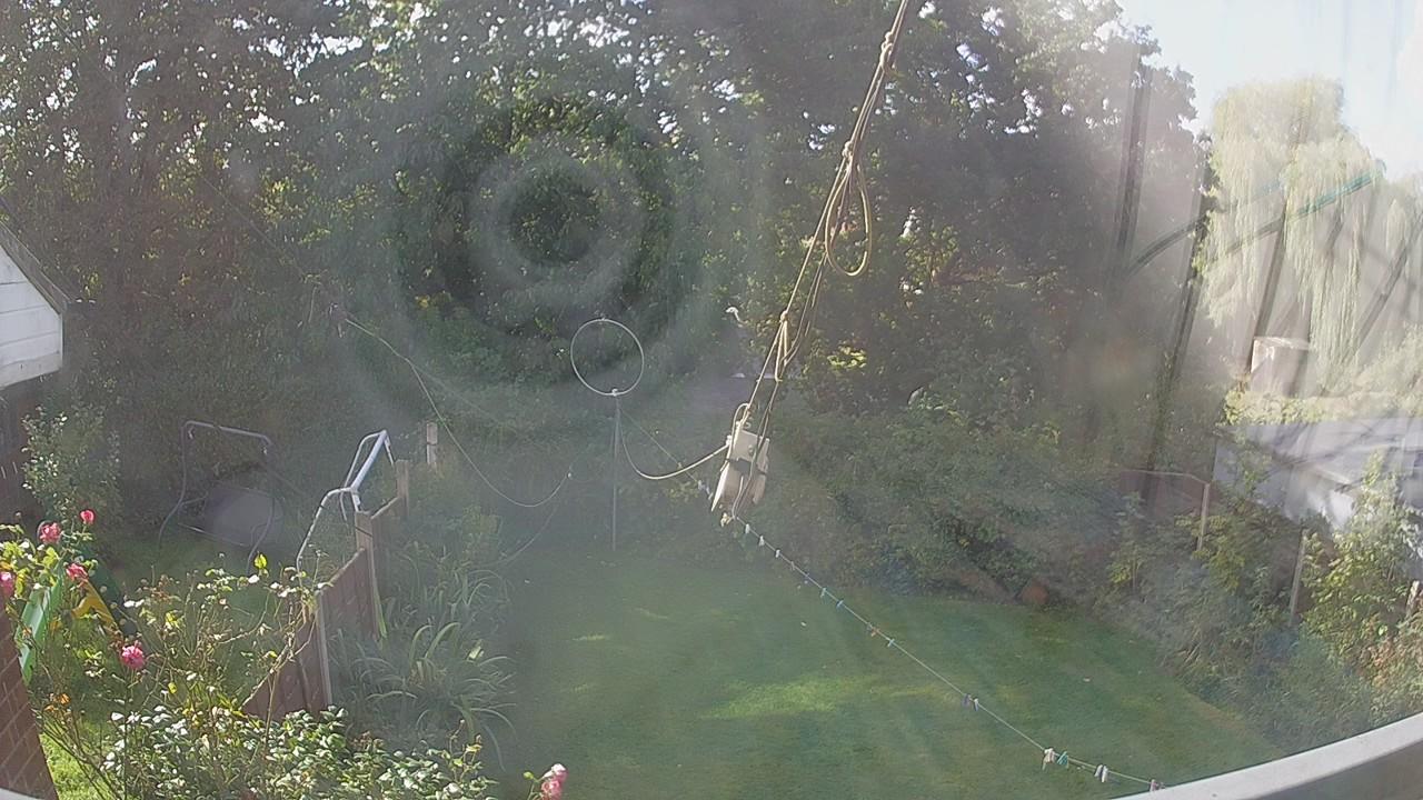 20261001_110032_cam1.jpg