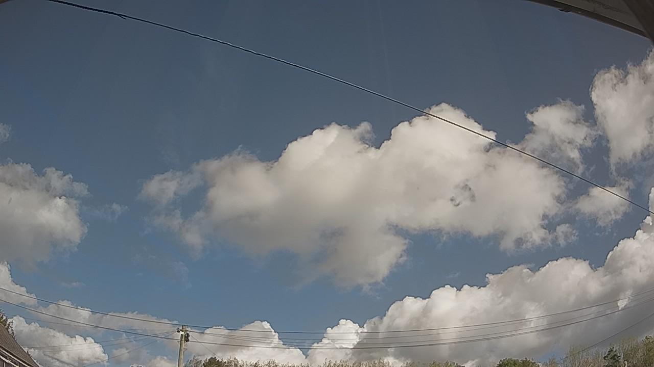 20261001_110033_cam2.jpg