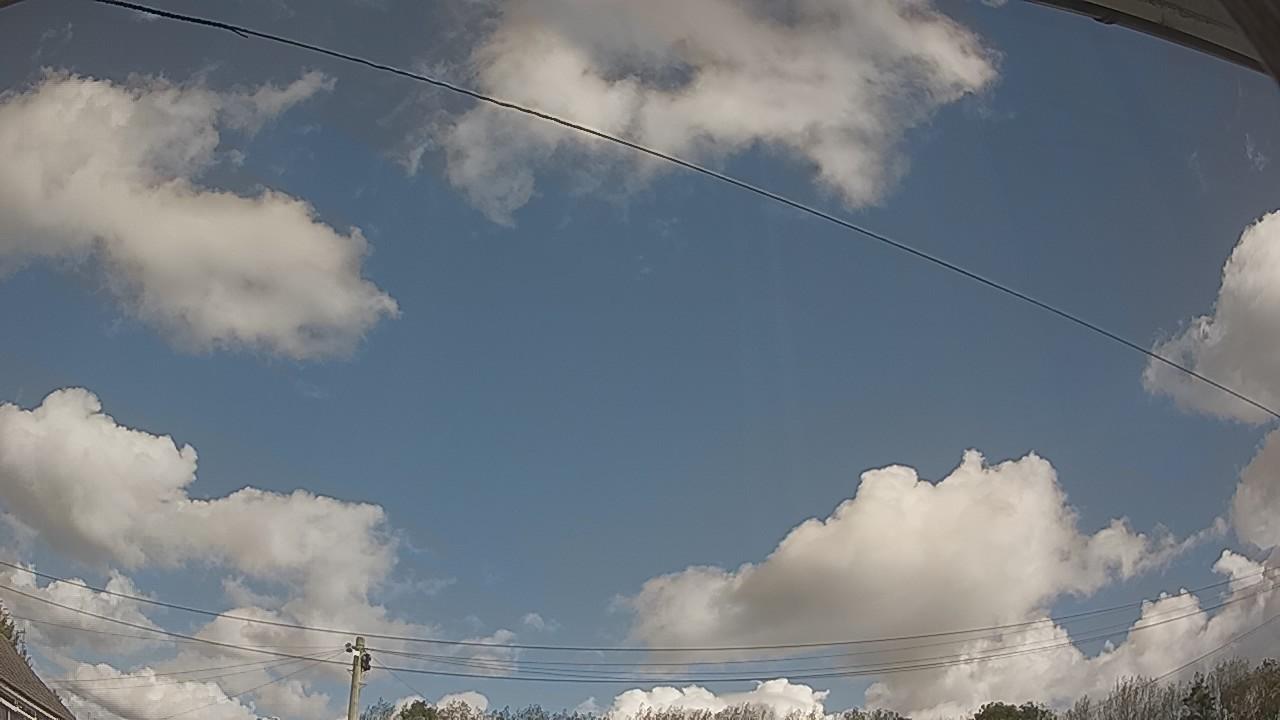 20261001_110404_cam2.jpg