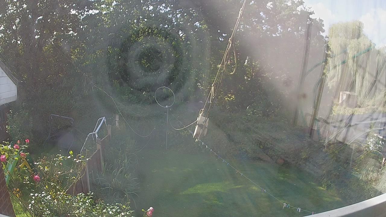 20261001_110736_cam1.jpg