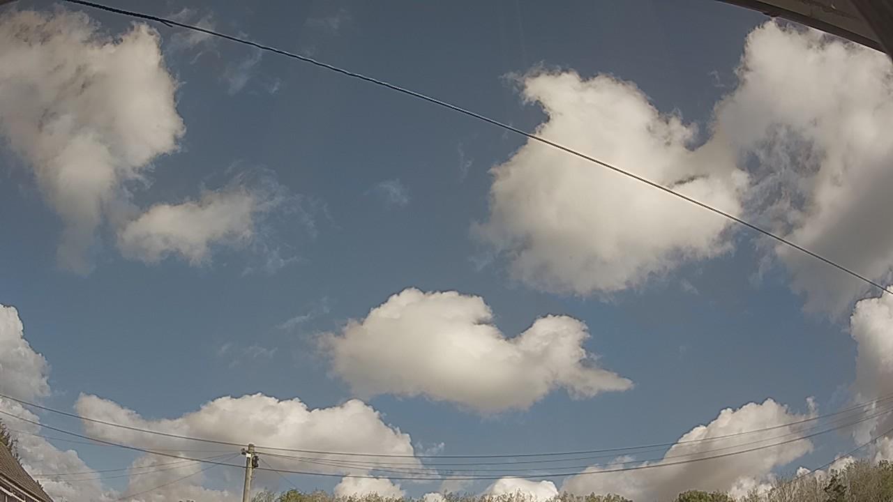 20261001_110737_cam2.jpg