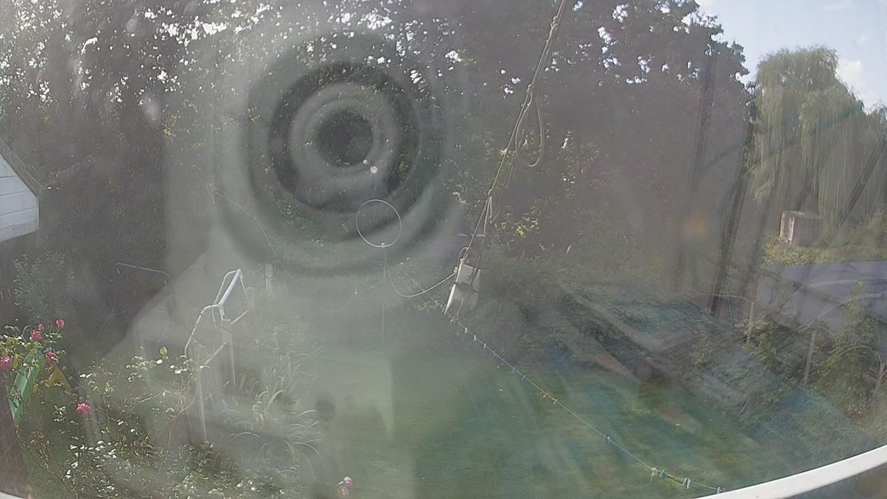 20261001_113136_cam1.jpg