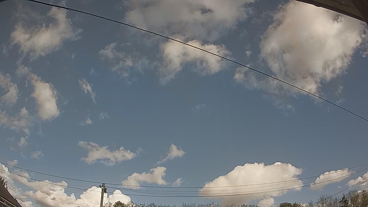 20261001_113137_cam2.jpg