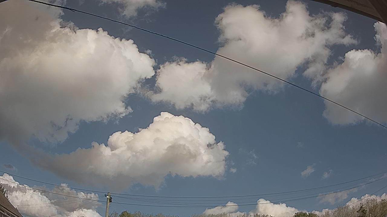 20261001_114057_cam2.jpg