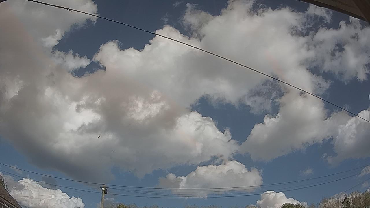 20261001_114404_cam2.jpg