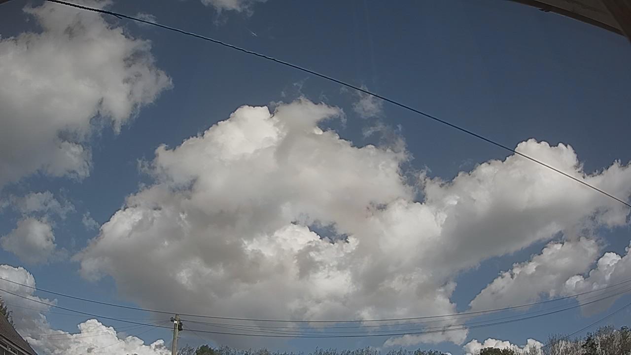 20261001_114710_cam2.jpg