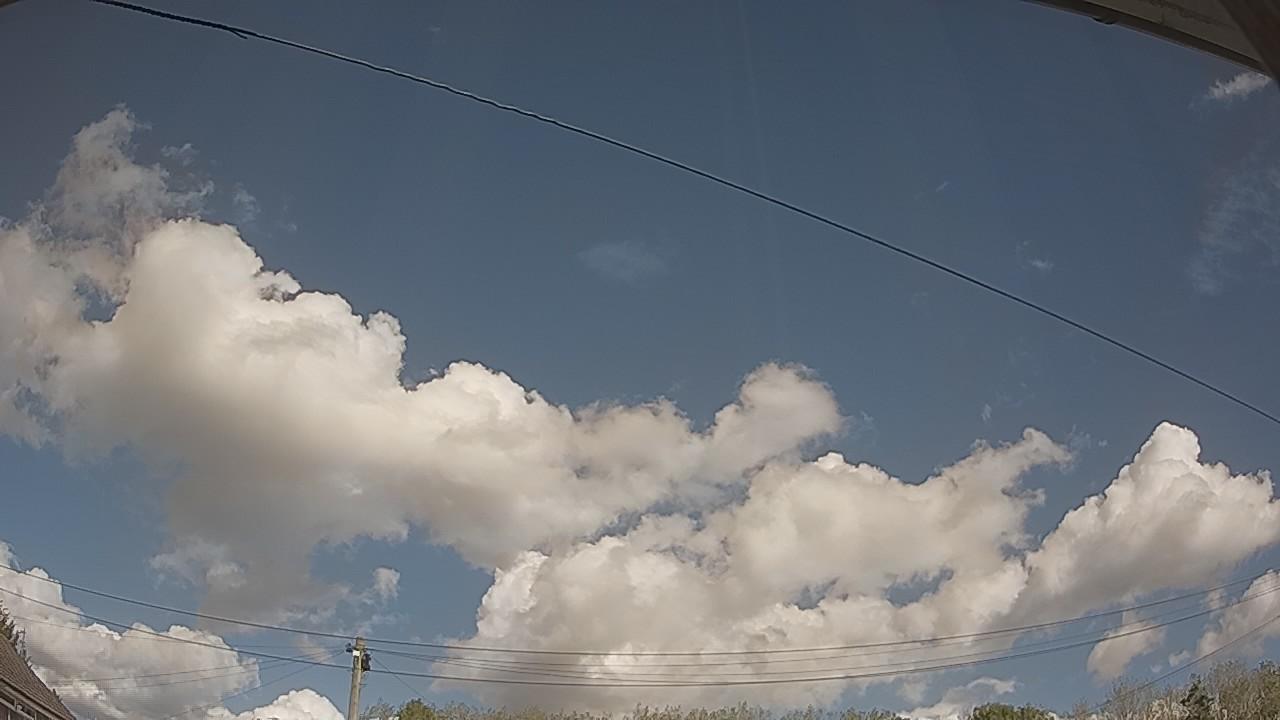 20261001_115018_cam2.jpg