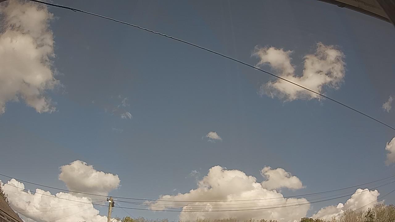 20261001_115955_cam2.jpg