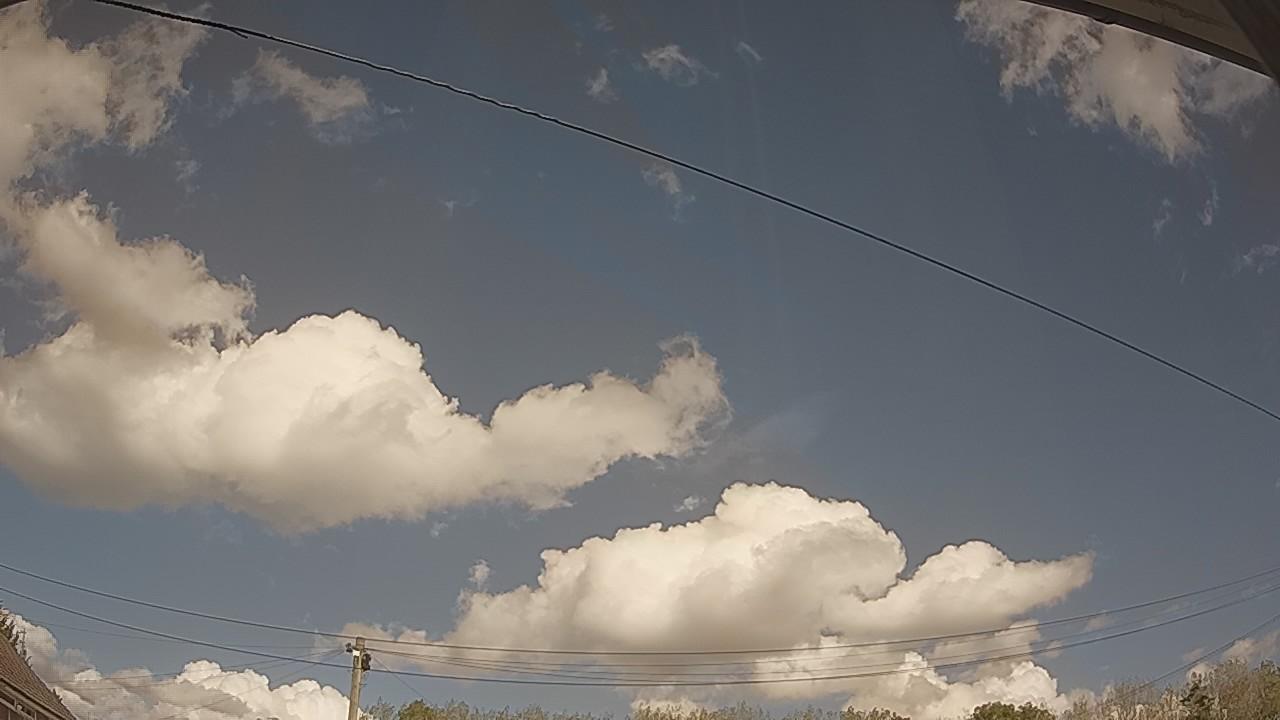20261001_121009_cam2.jpg