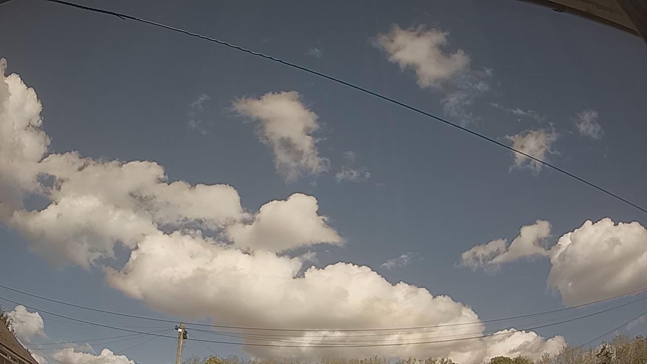 20261001_121657_cam2.jpg
