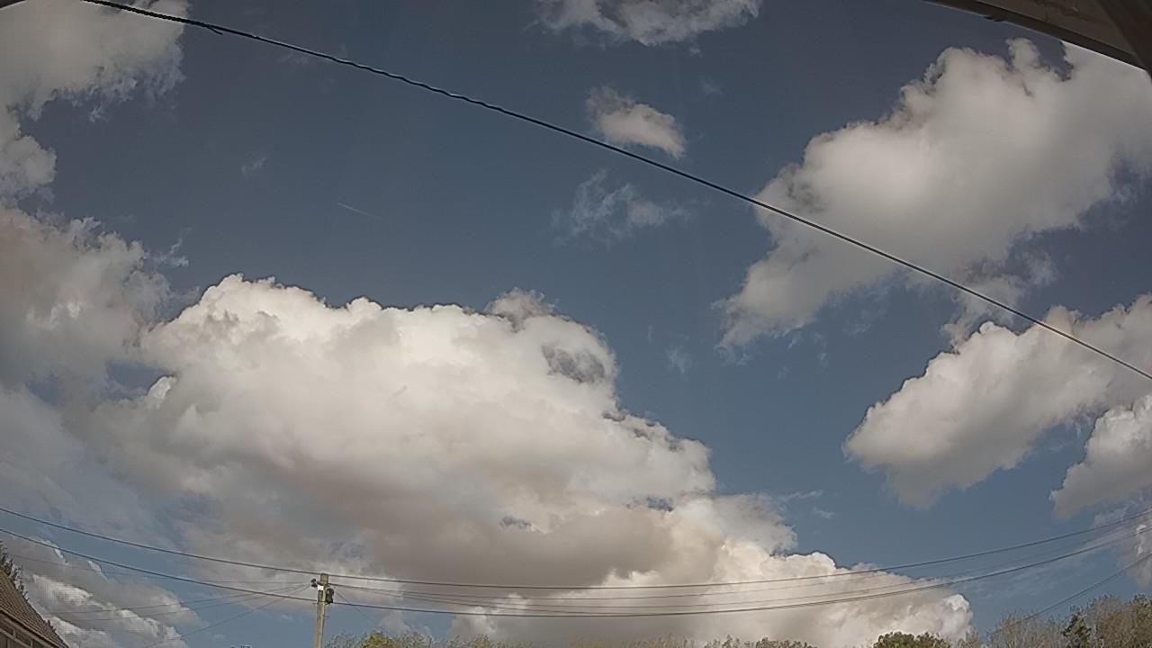 20261001_124732_cam2.jpg