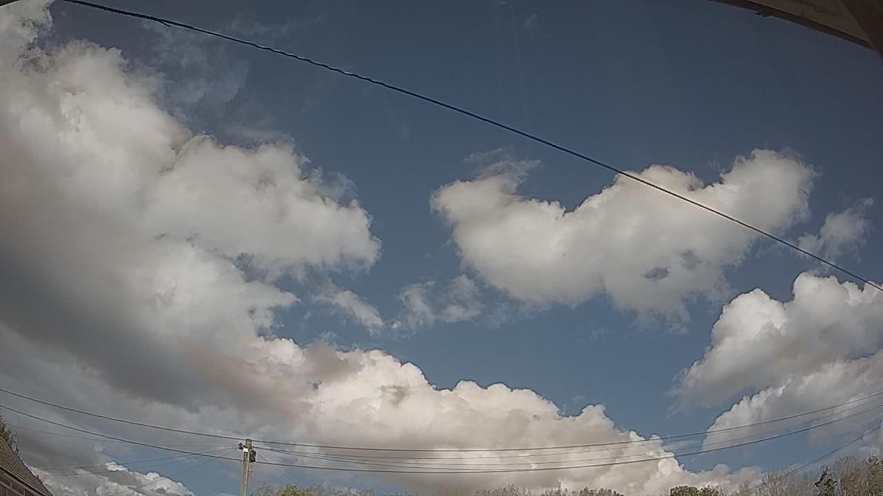 20261001_125057_cam2.jpg