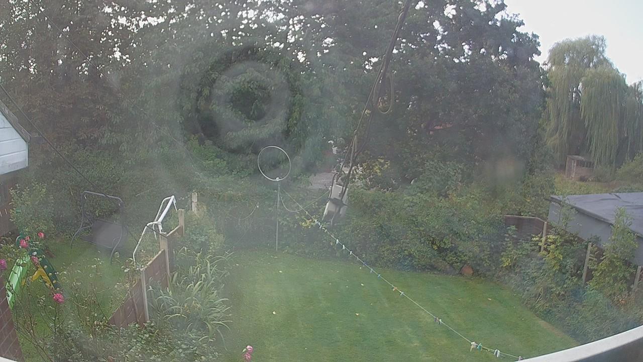 20261001_131251_cam1.jpg