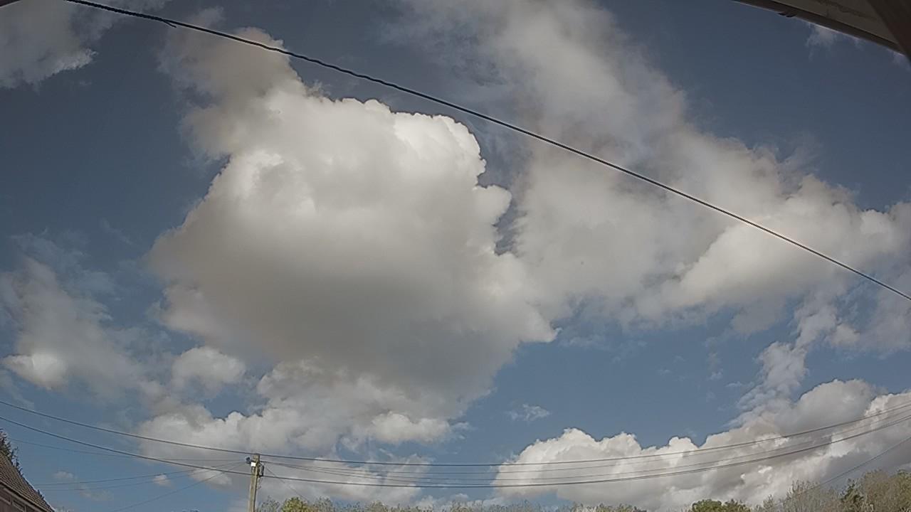 20261001_142443_cam2.jpg