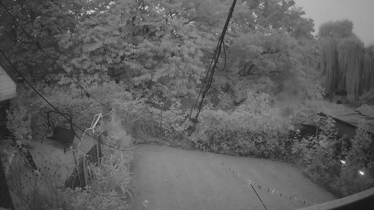 20261002_055428_cam1.jpg