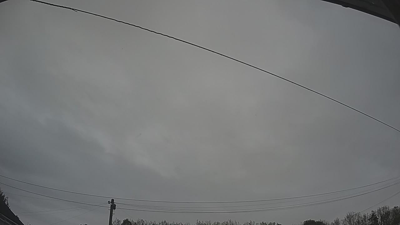 20261002_060721_cam2.jpg