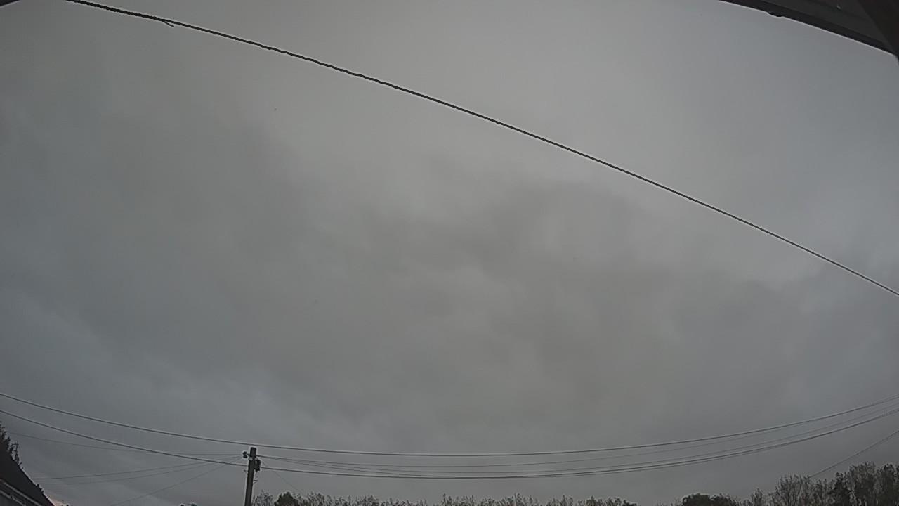 20261002_061139_cam2.jpg