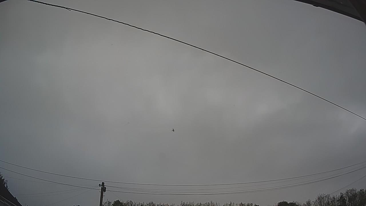 20261002_062852_cam2.jpg