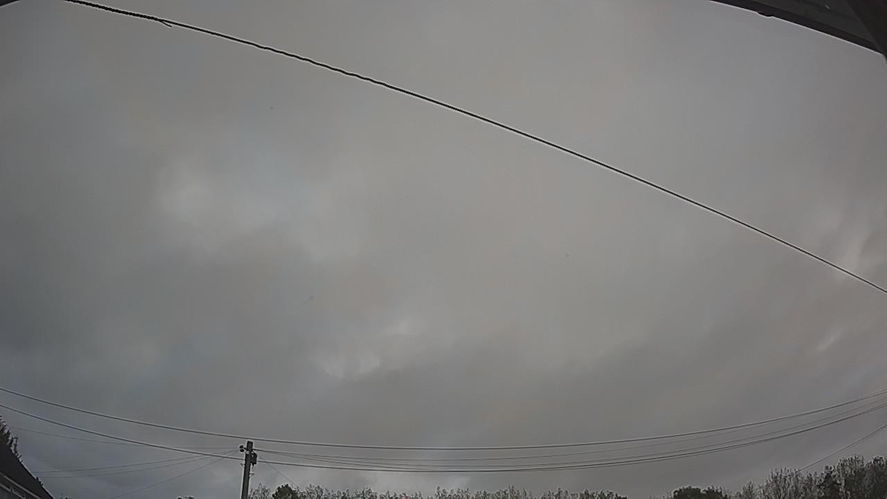 20261002_071150_cam2.jpg