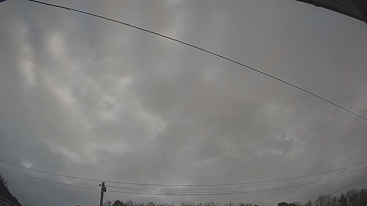 20261002_072910_cam2.jpg