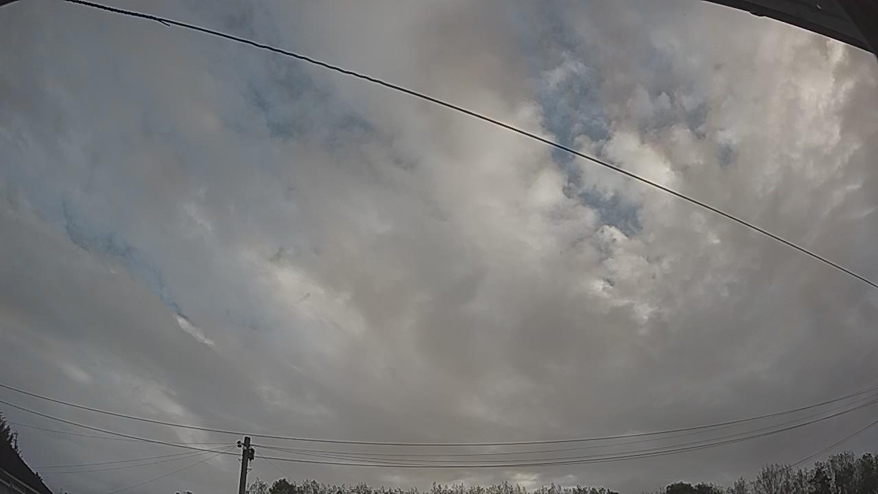 20261002_073908_cam2.jpg