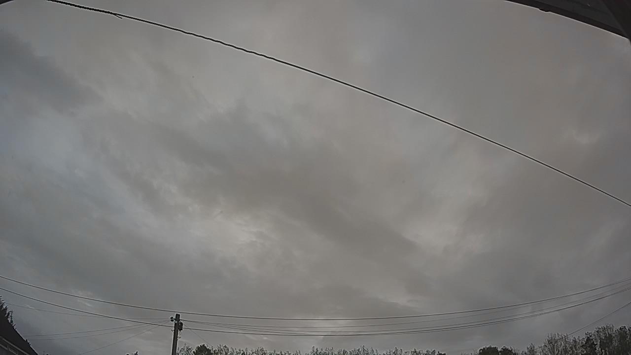 20261002_074334_cam2.jpg