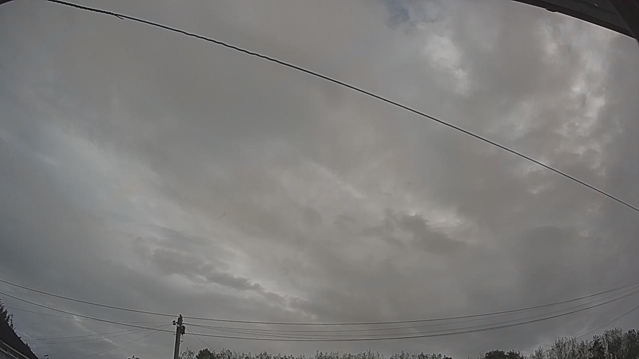 20261002_074801_cam2.jpg