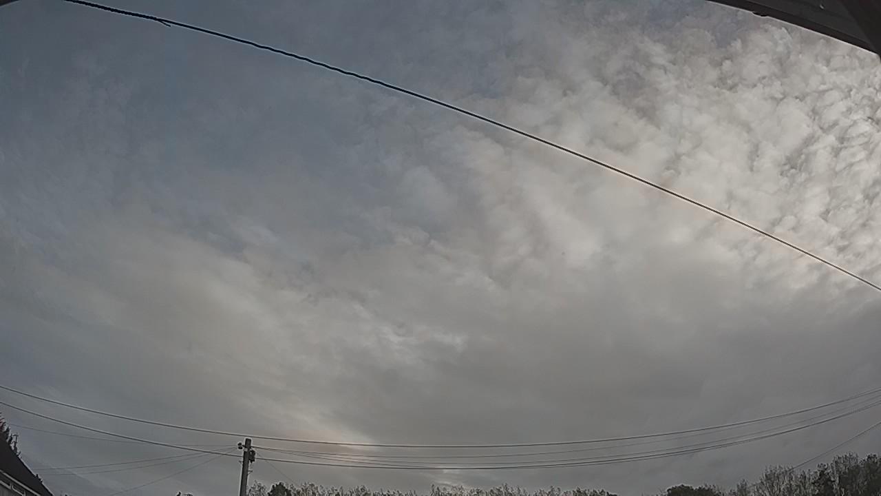 20261002_075229_cam2.jpg