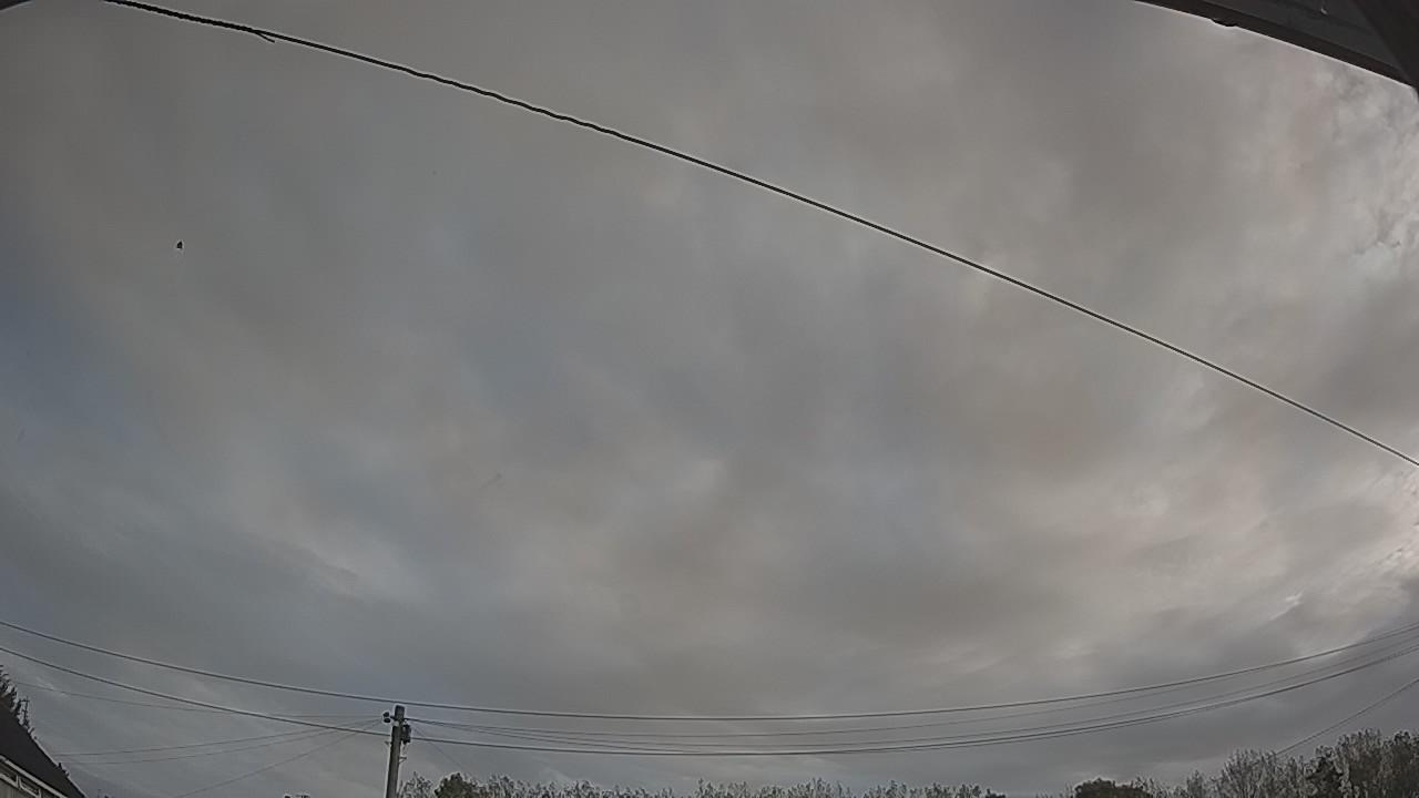 20261002_080115_cam2.jpg