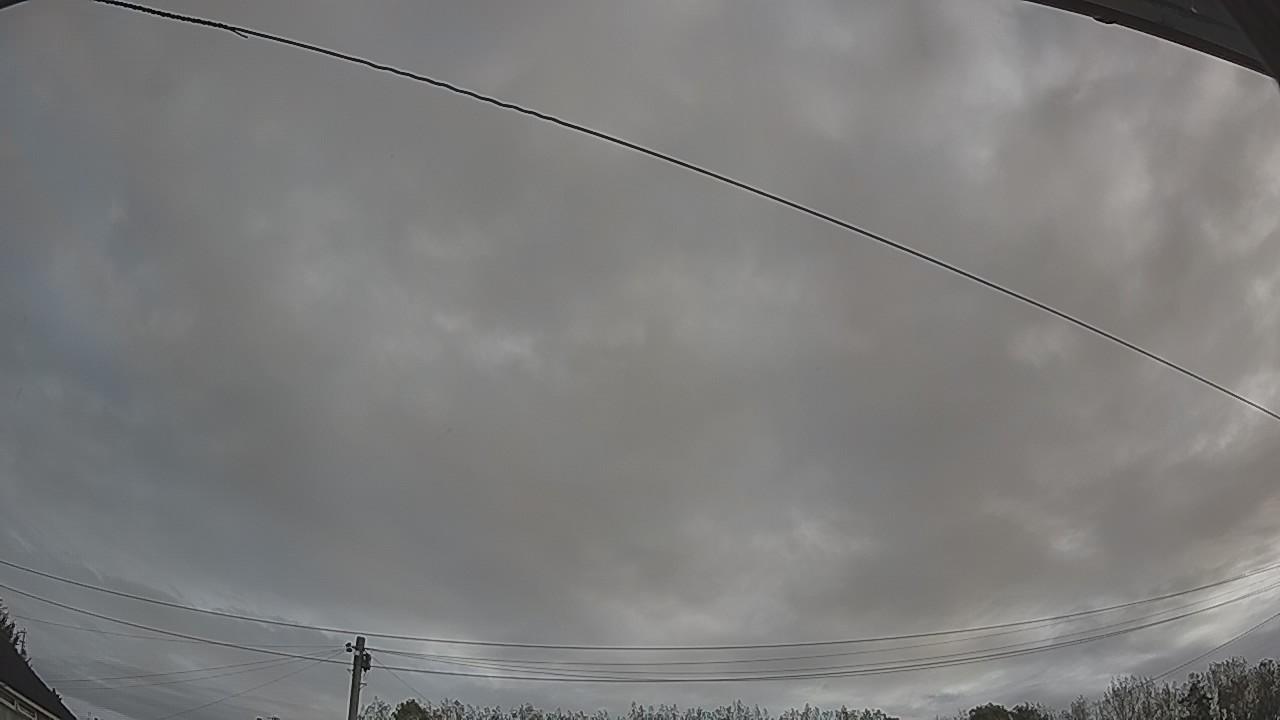 20261002_080533_cam2.jpg