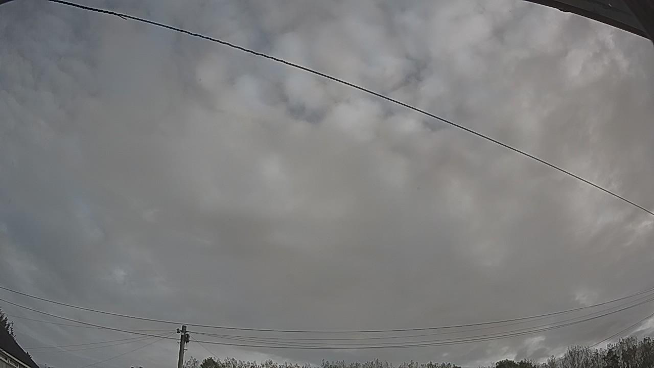 20261002_080952_cam2.jpg