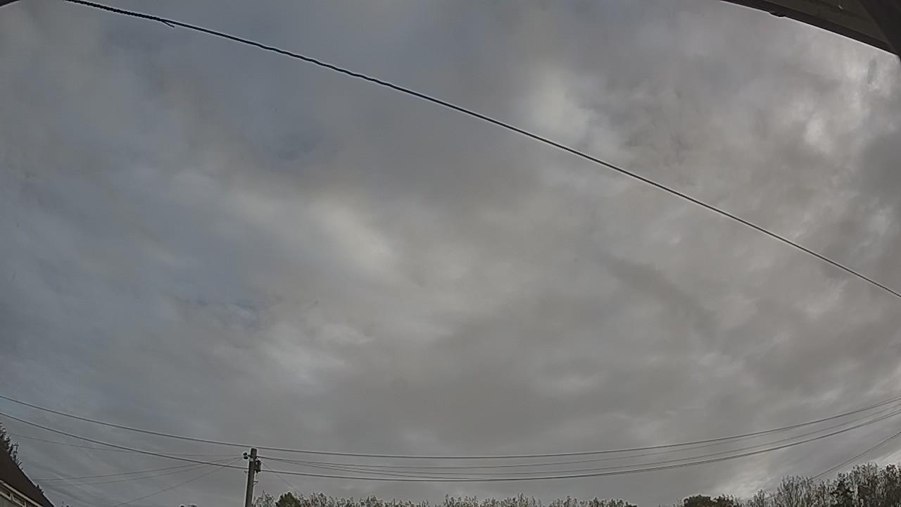 20261002_081410_cam2.jpg