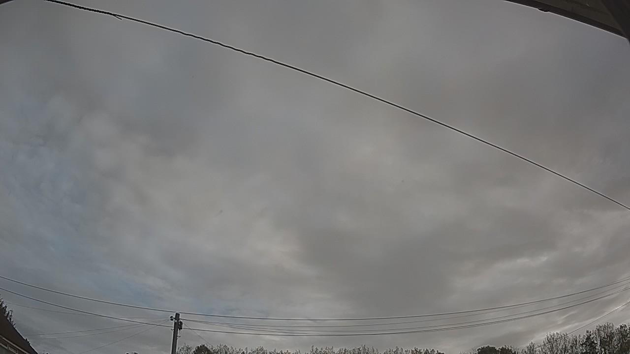20261002_081828_cam2.jpg