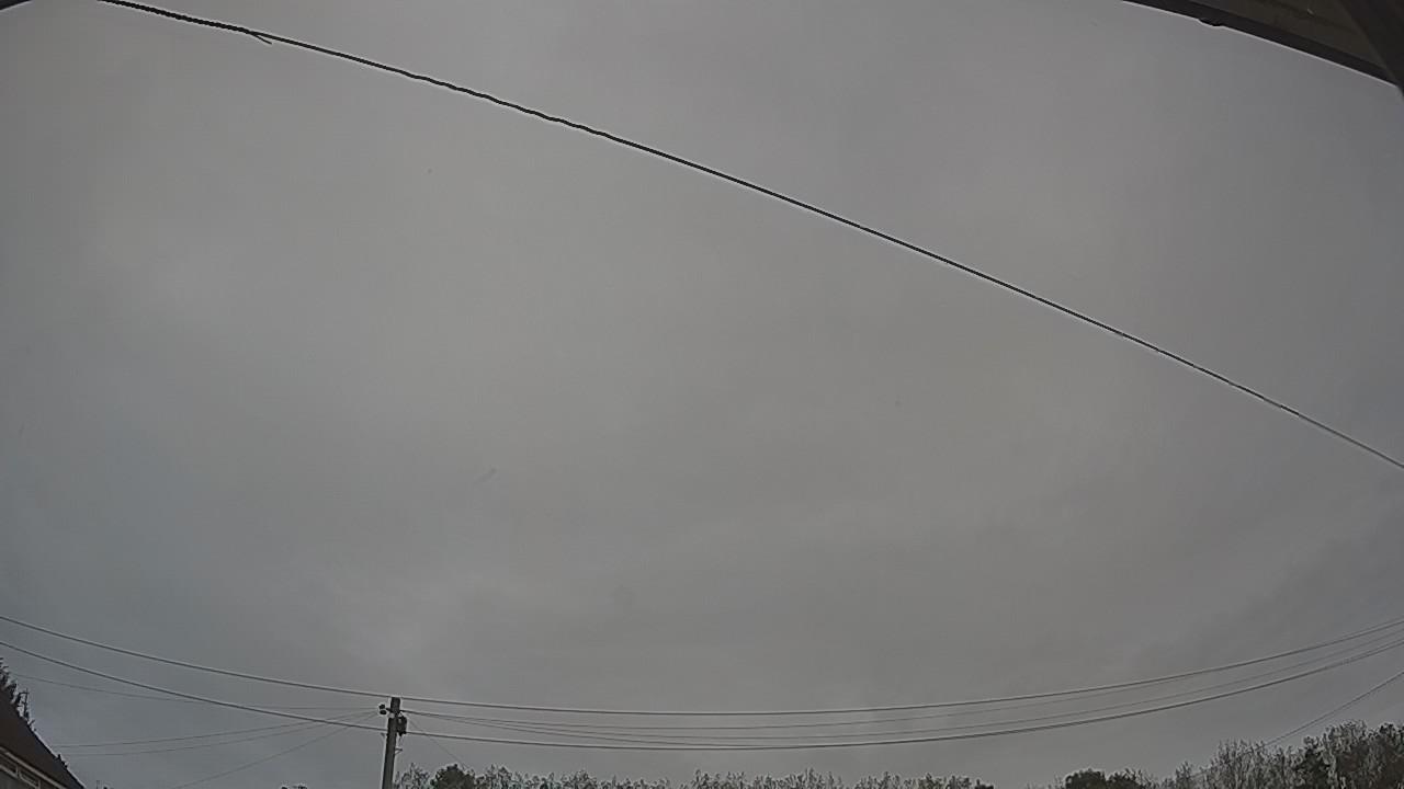 20261002_084419_cam2.jpg