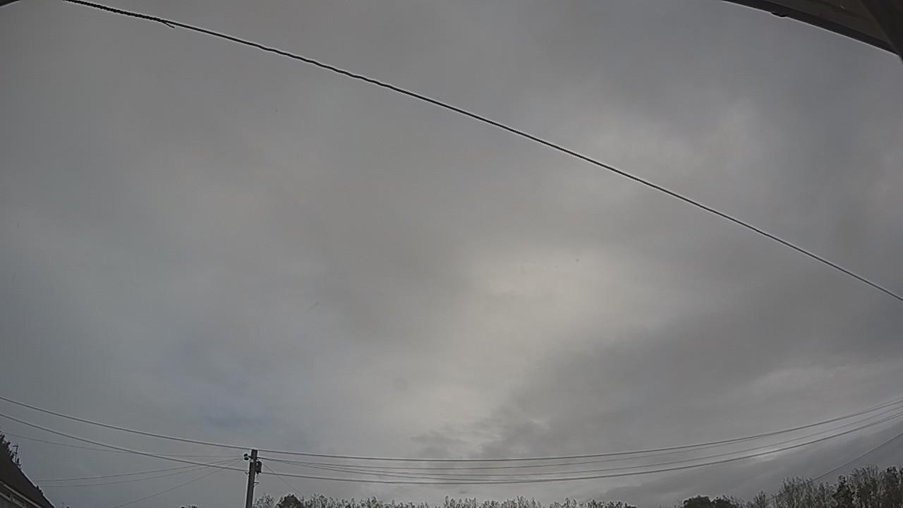 20261002_091314_cam2.jpg