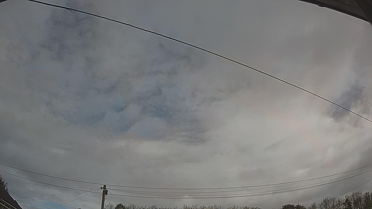 20261002_095711_cam2.jpg