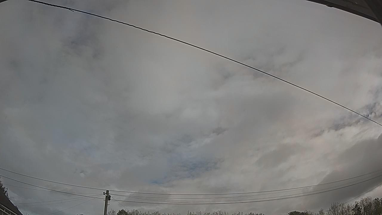 20261002_100102_cam2.jpg