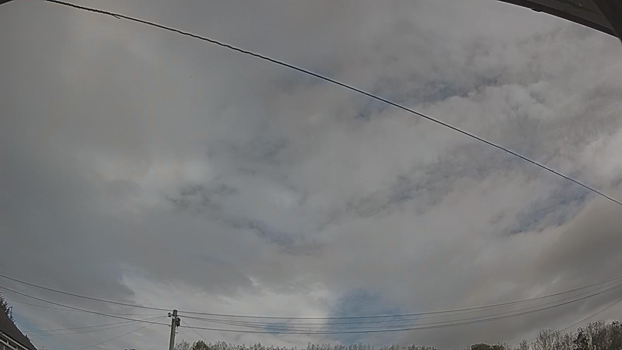 20261002_101233_cam2.jpg