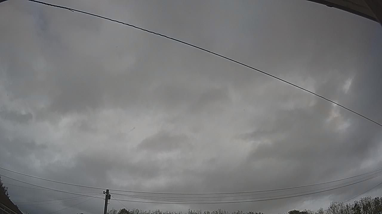 20261002_105558_cam2.jpg