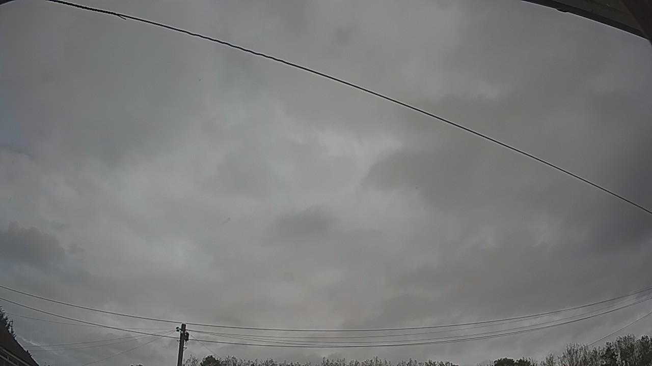 20261002_110706_cam2.jpg