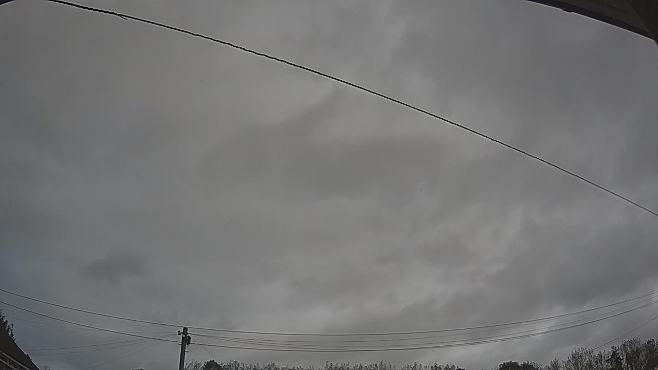 20261002_111430_cam2.jpg