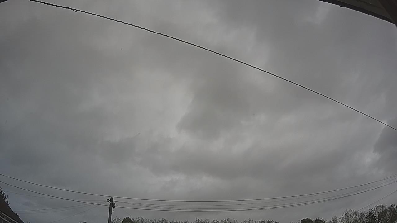 20261002_111813_cam2.jpg