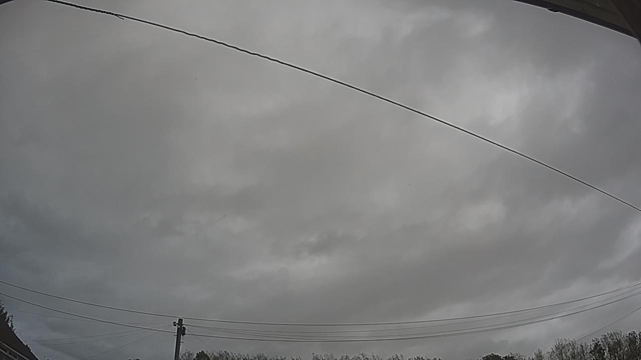 20261002_112537_cam2.jpg