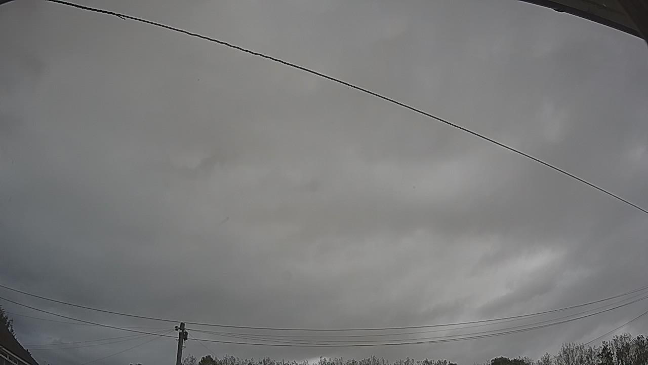 20261002_113356_cam2.jpg