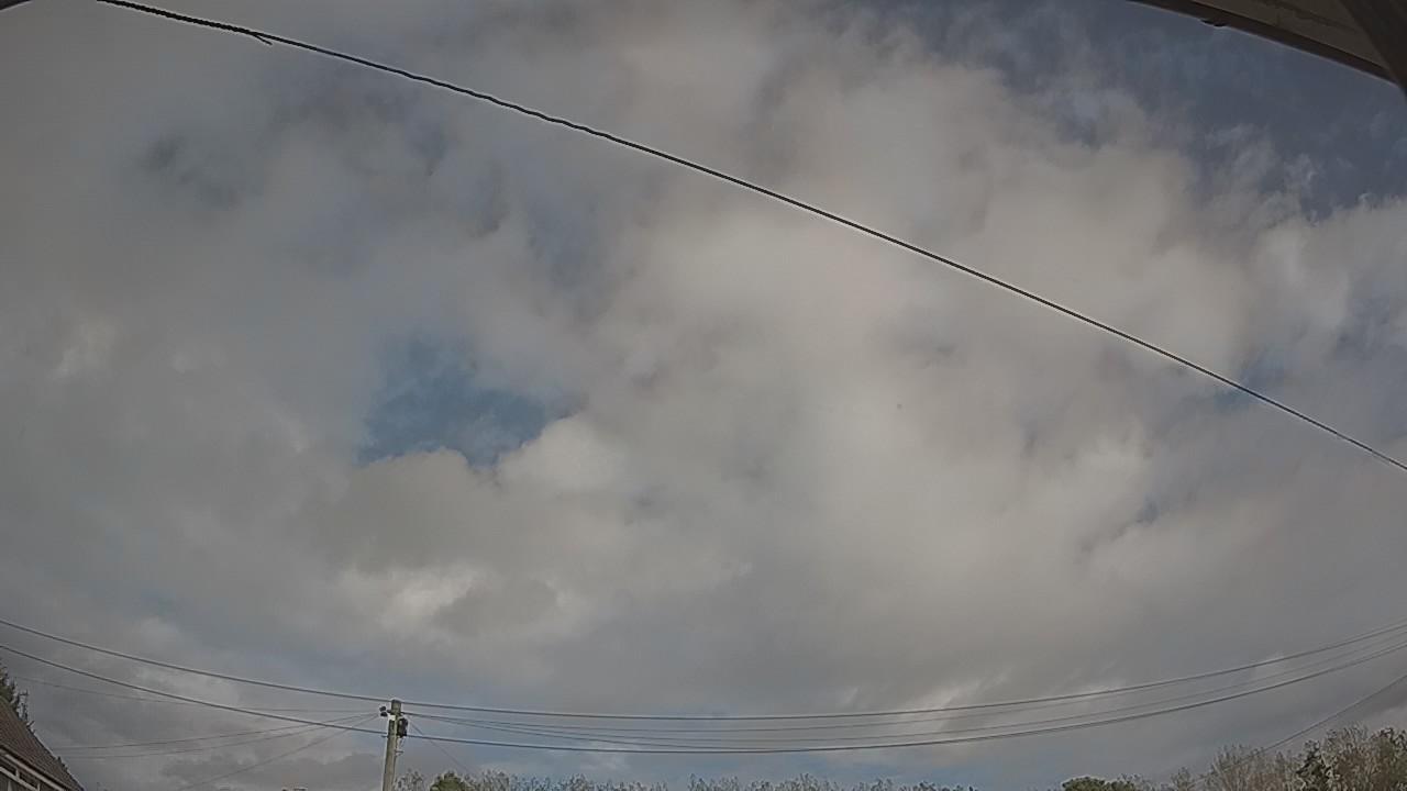 20261002_115440_cam2.jpg