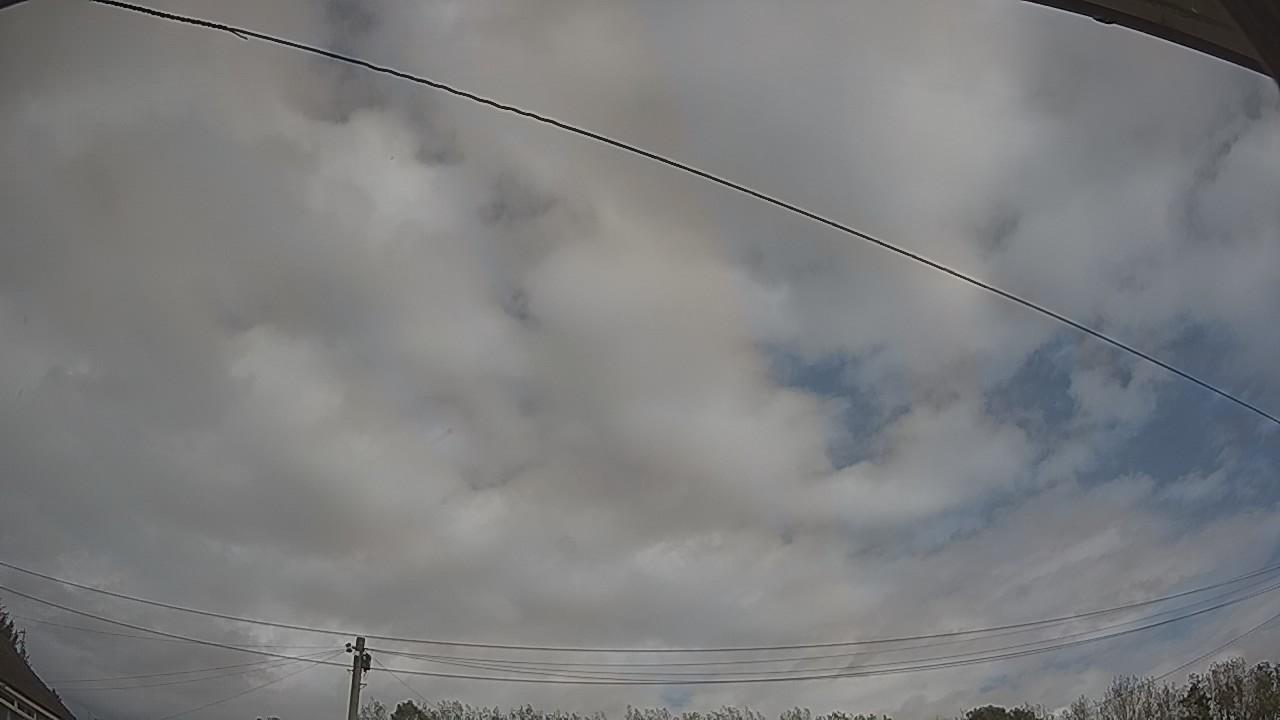 20261002_115928_cam2.jpg