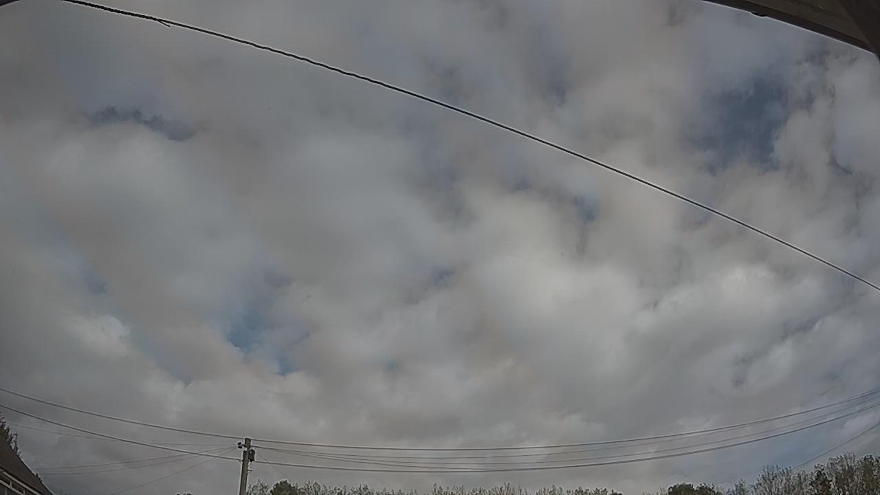 20261002_120309_cam2.jpg