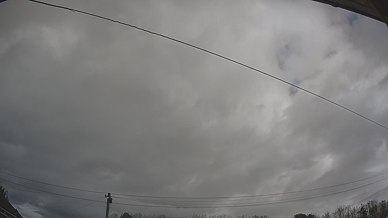 20261002_122911_cam2.jpg