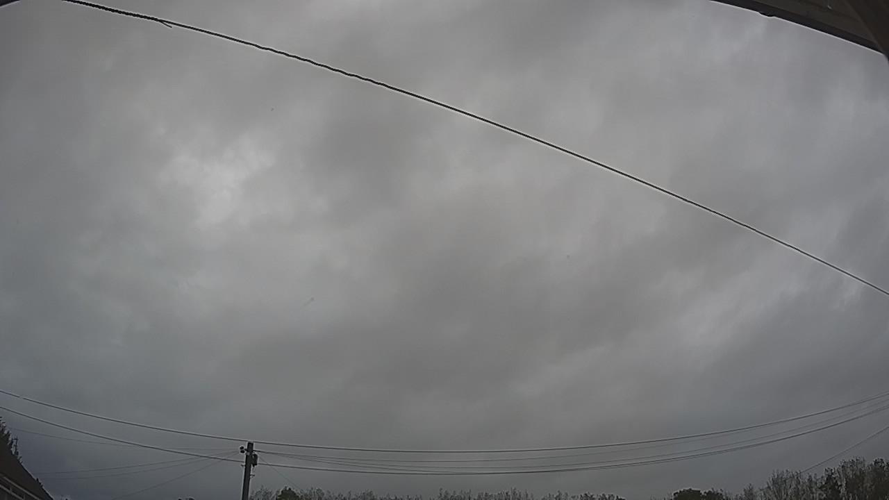 20261002_124434_cam2.jpg